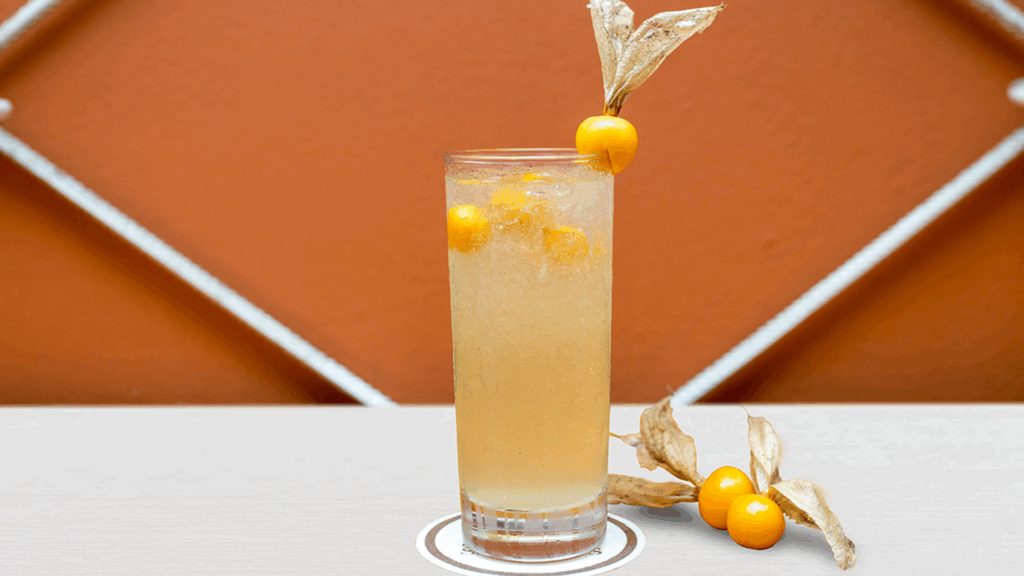 Cocteles